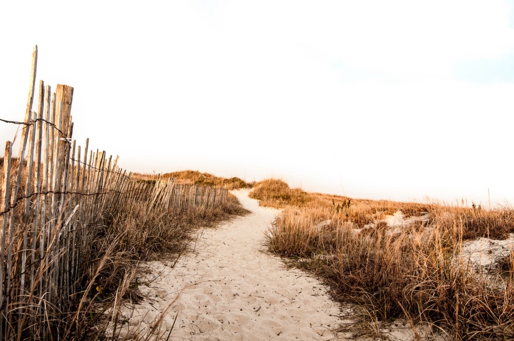 Sandy beach path straw fence