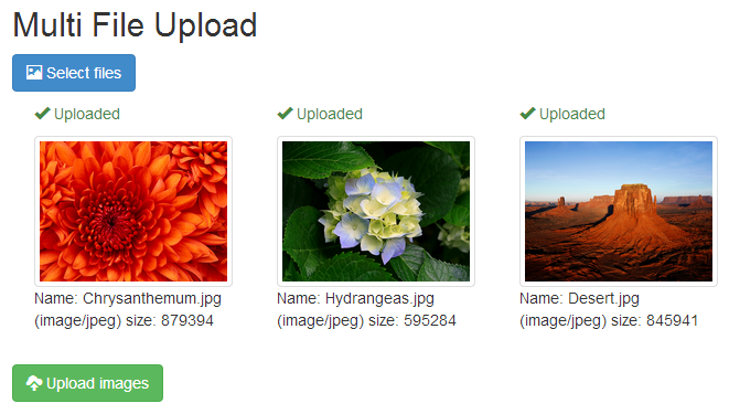 Demo of upload multiple images